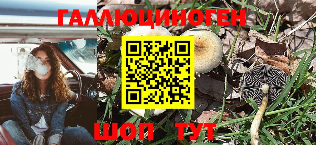 Галлюциногенные грибы MAGIC MUSHROOMS  Вход с VPN  Луховицы 
